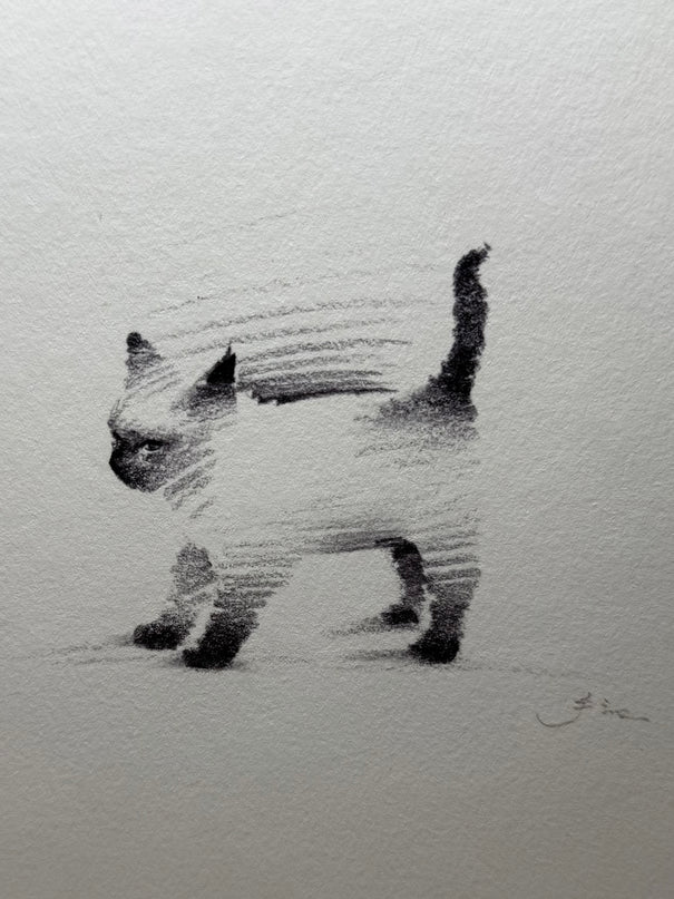 Art Print – "Siamese Cat" (RP-006)