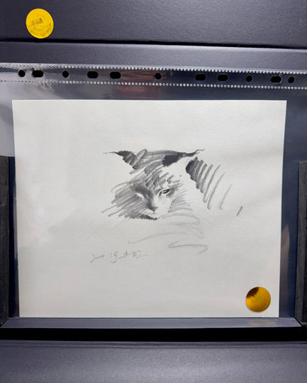 No. 037 "Maine Coon"