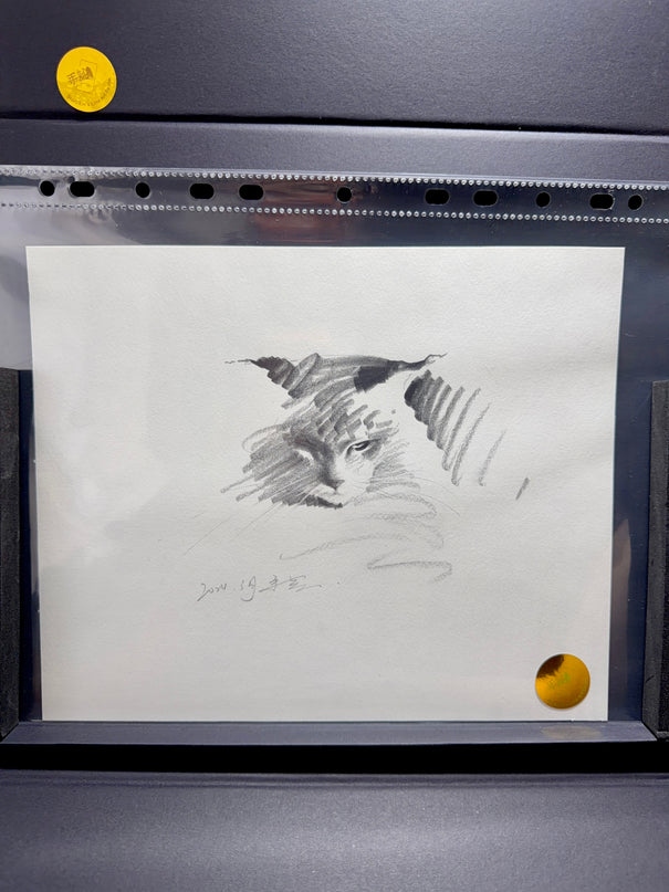 No. 037 "Maine Coon"