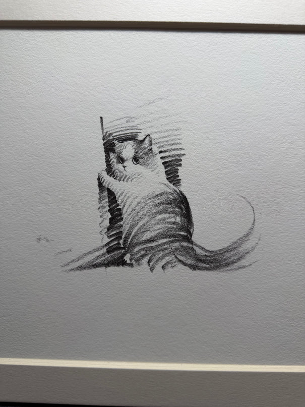 Art Print - "That Look" (2608P001)