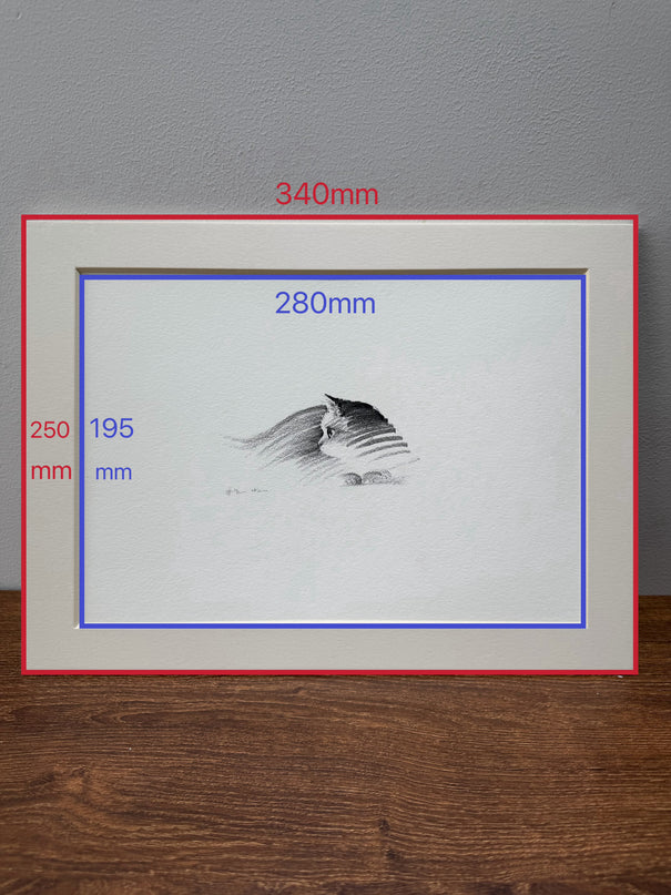 Art Print - "Quietly Watching" (2608P002)