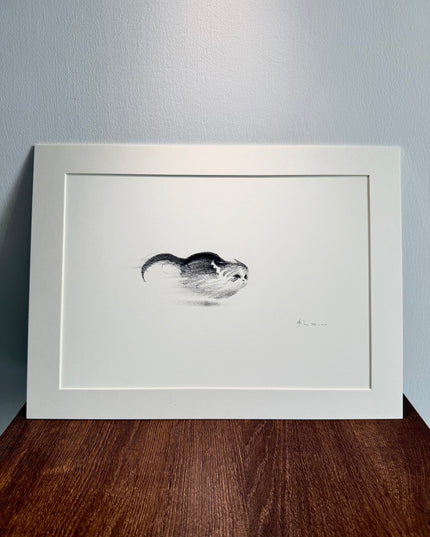 Art Print – "Zoomies"  (RP-001)