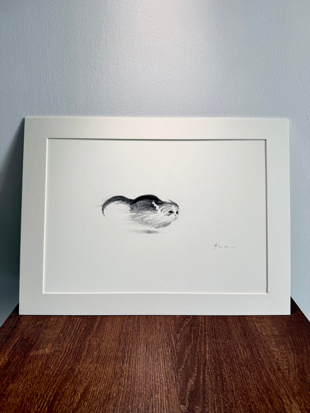 Art Print – "Zoomies"  (RP-001)
