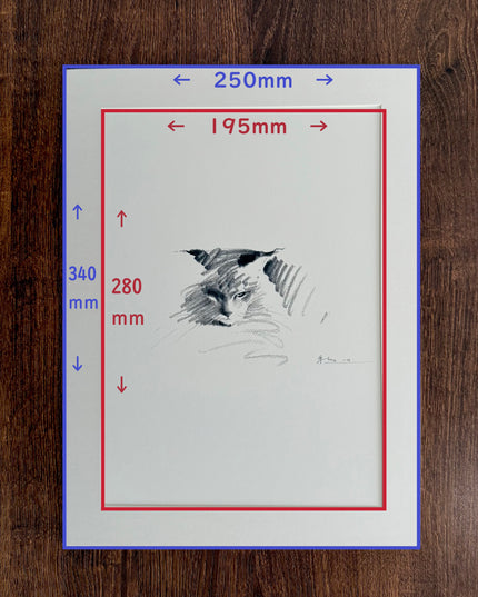 Art Print – "Maine Coon Ⅱ" (xmasP012)