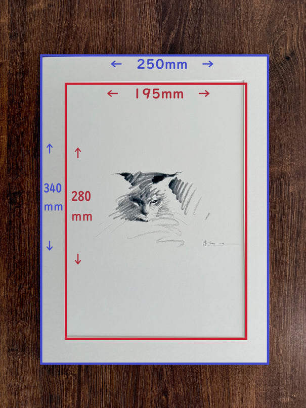 Art Print – "Maine Coon Ⅱ" (xmasP012)