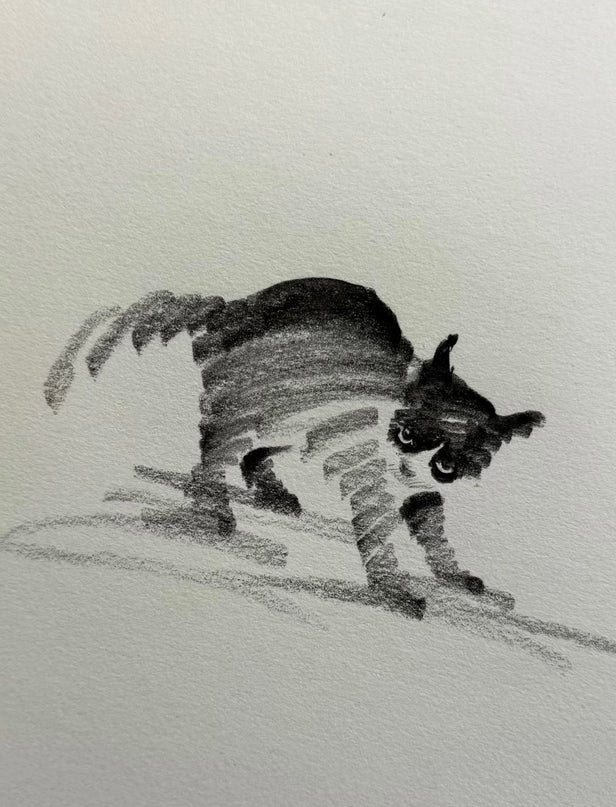 No. 010  "Black Cat Series – Warning"