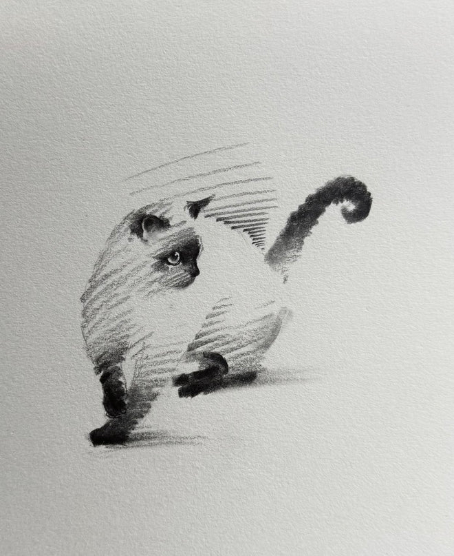 No. 009  "Siamese Cat Series – Looking Back"
