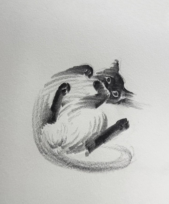 No. M024  "Siamese Cat, Playtime" (Masterpiece)