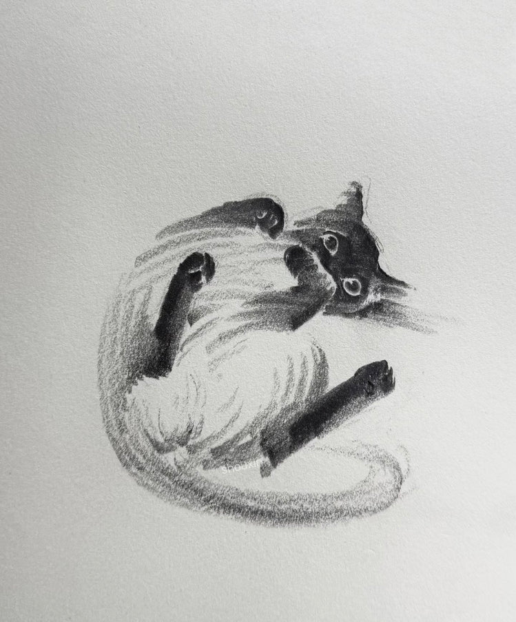 No. M024  "Siamese Cat, Playtime" (Masterpiece)