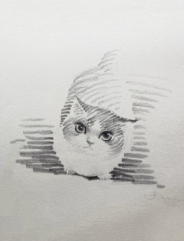 No. 026 "Looking Up"