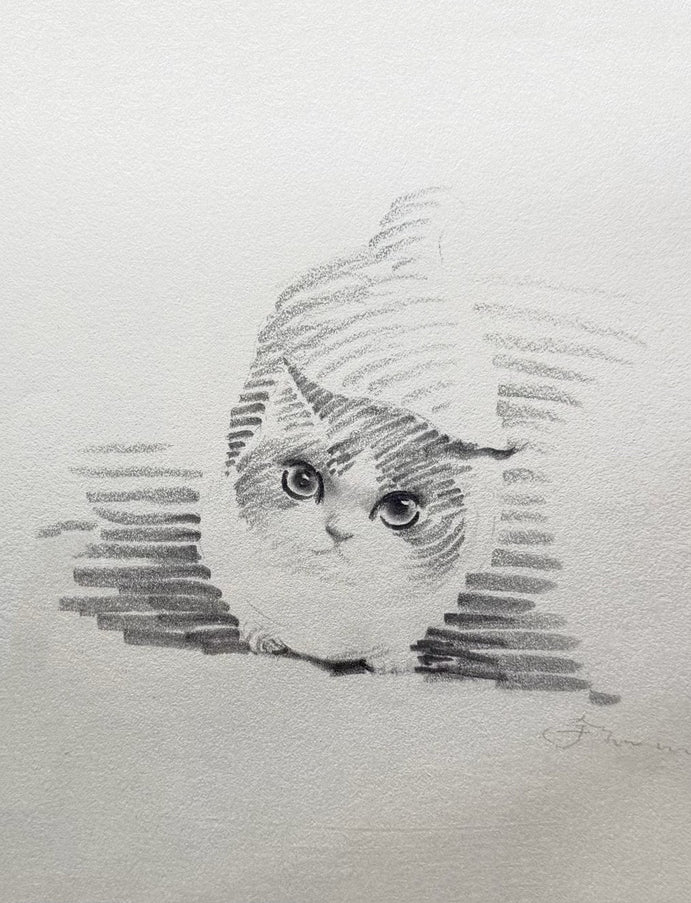 No. 026 "Looking Up"