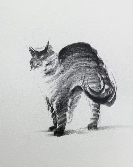 No. 028 "Black Cat Series, Morning Rise"
