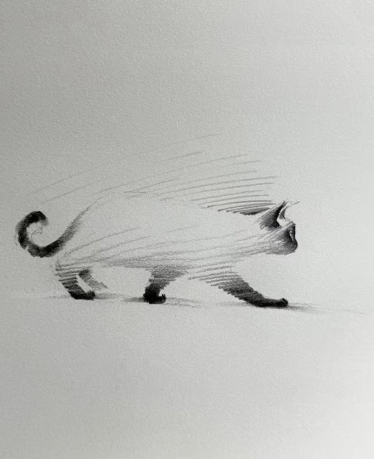 No. M015  "Siamese Cat, Walking Forward" (Masterpiece)