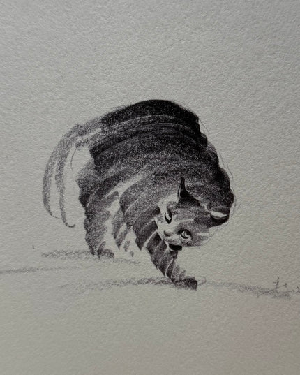 Art Print – "Don't Mess With Meow"  (2506P008)