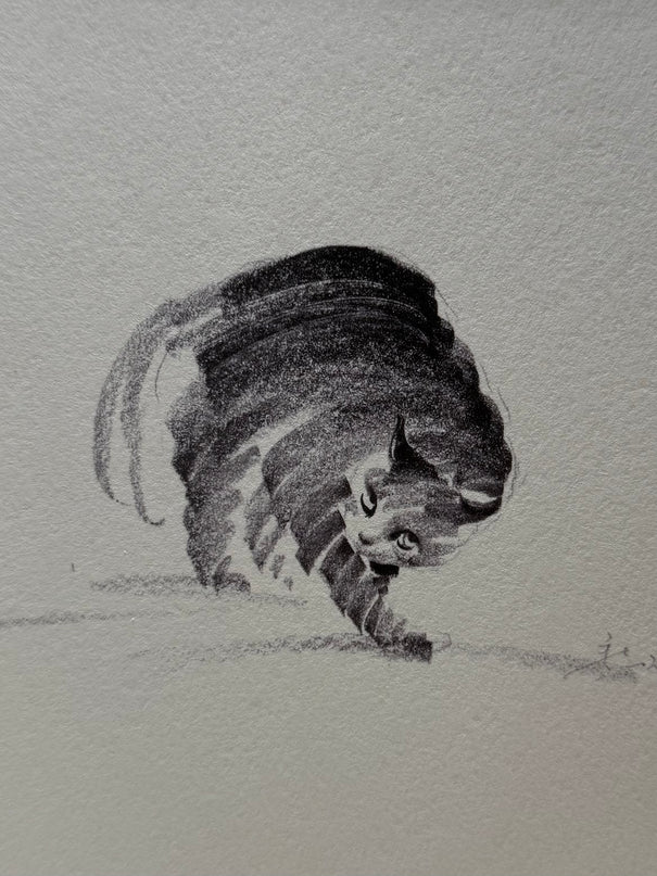 Art Print – "Don't Mess With Meow"  (2506P008)