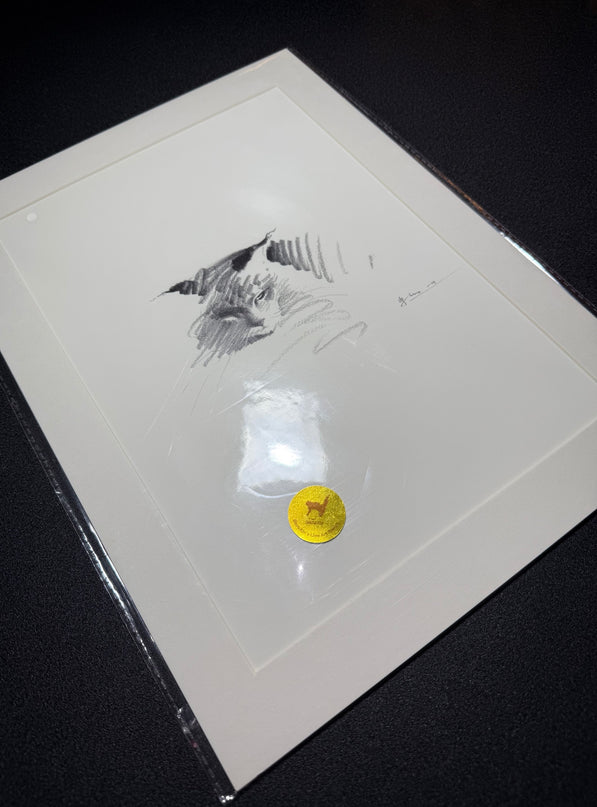 Art Print – "Maine Coon Ⅱ" (xmasP012)