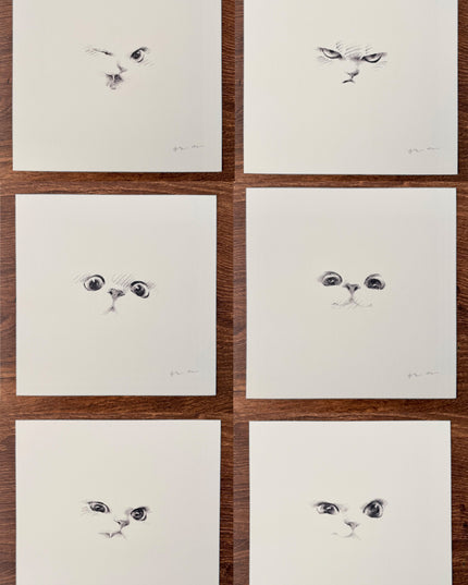 Kitten Expression Series (Set of 6 Illustrations)