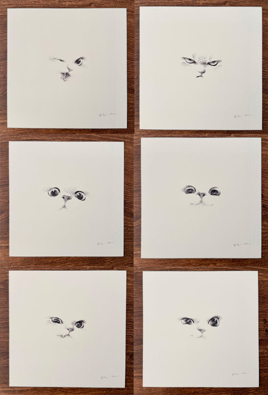 Kitten Expression Series (Set of 6 Illustrations)