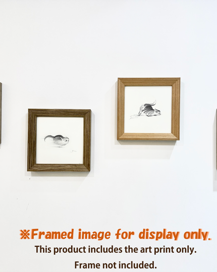 Dashing Kittens Series (Set of 4 Illustrations)