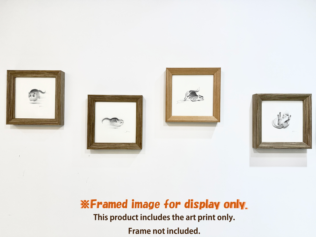 Dashing Kittens Series (Set of 4 Illustrations)