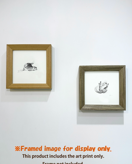 Dashing Kittens Series (Set of 4 Illustrations)