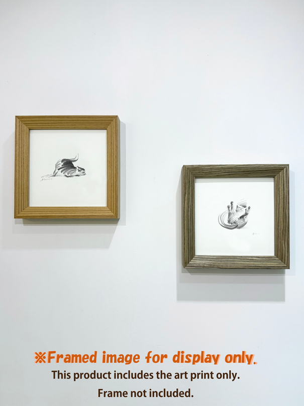 Dashing Kittens Series (Set of 4 Illustrations)