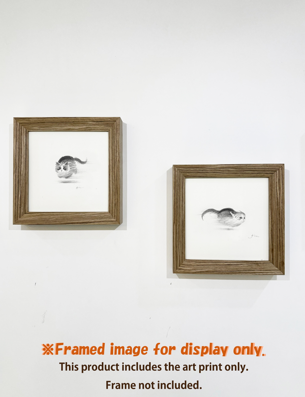 Dashing Kittens Series (Set of 4 Illustrations)