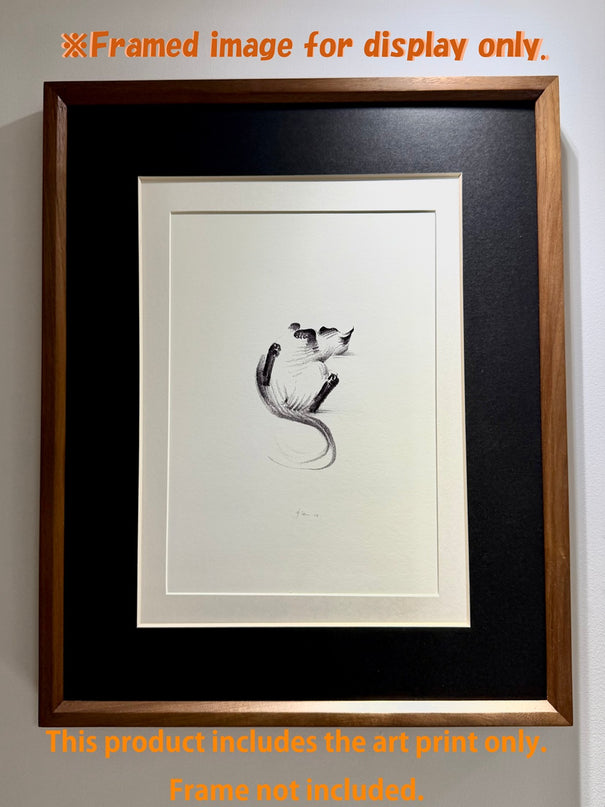 Art Print - "Siamese Cat - Belly Up" (2607P007)