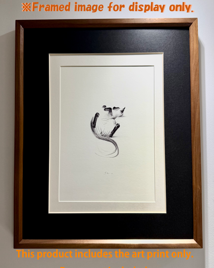 Art Print – "Siamese Cat — Belly Up" (2510P007)