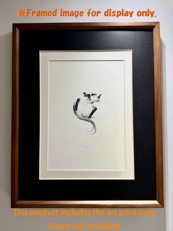 Art Print – "Siamese Cat — Belly Up" (2510P007)