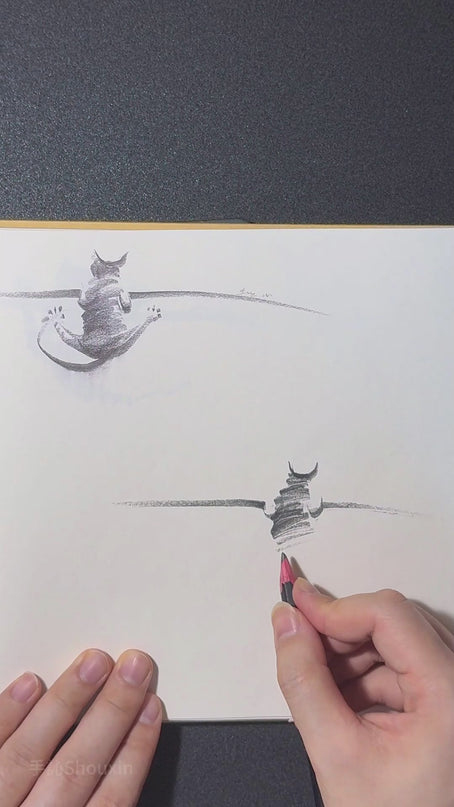 Sketching with ShouXin: A Practice Guide and Workbook