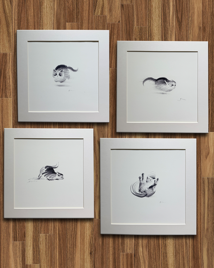 Dashing Kittens Series (Set of 4 Illustrations)