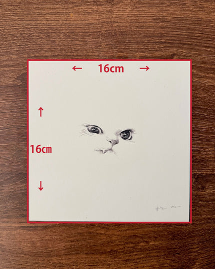 Kitten Expression Series (Set of 6 Illustrations)