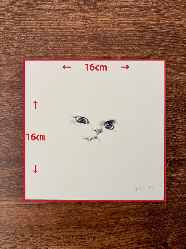 Kitten Expression Series (Set of 6 Illustrations)