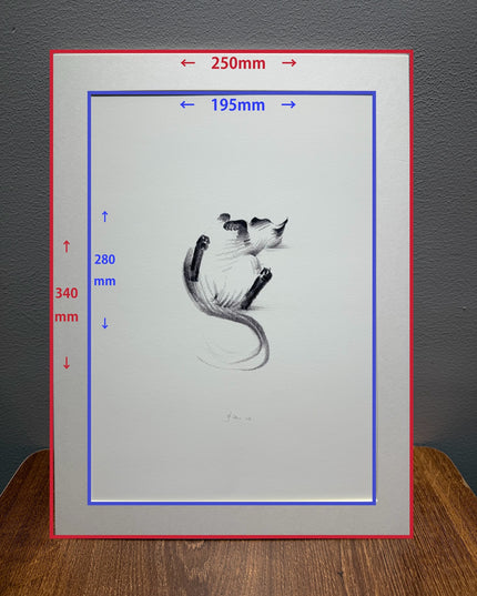 Art Print - "Siamese Cat - Belly Up" (2607P007)