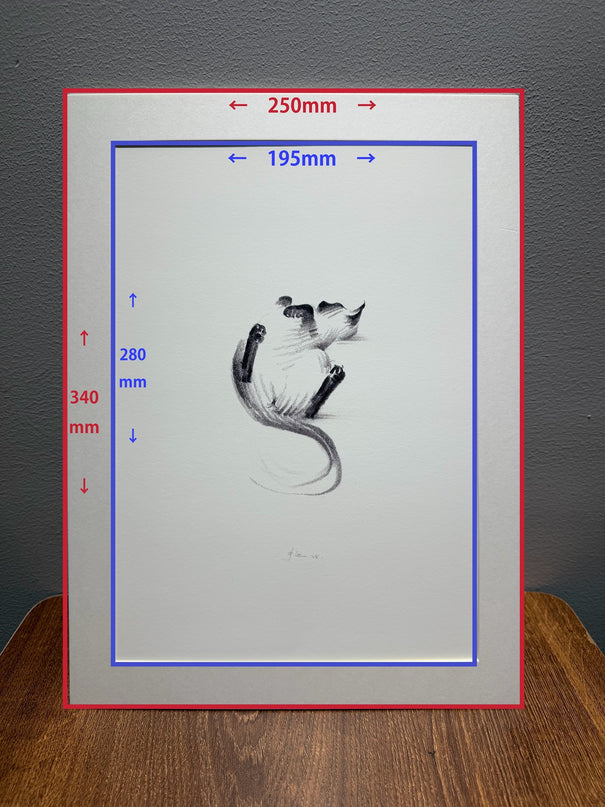 Art Print - "Siamese Cat - Belly Up" (2607P007)