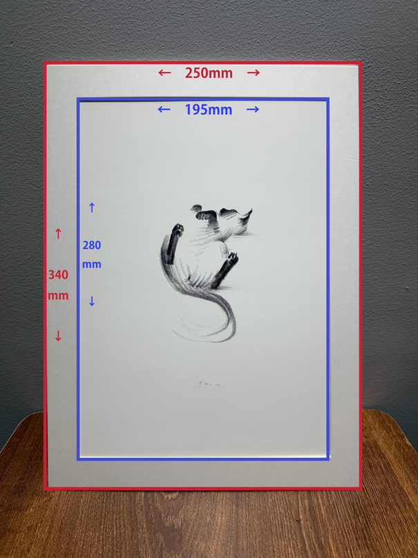 Art Print – "Siamese Cat — Belly Up" (2510P007)
